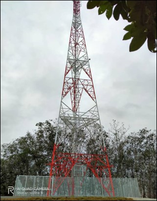 Picture1